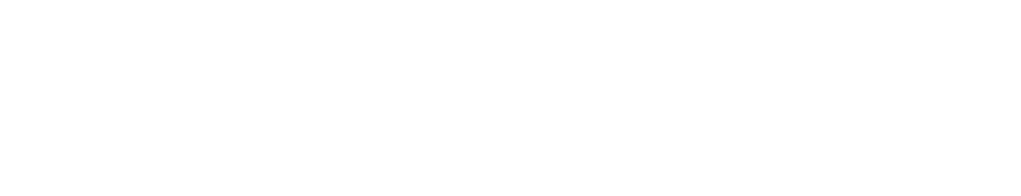 EG Electronics